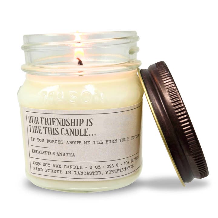 Our Friendship Is Like This Candle - Funny Candle 8oz Soy for wholesale by Studio Scents LLC