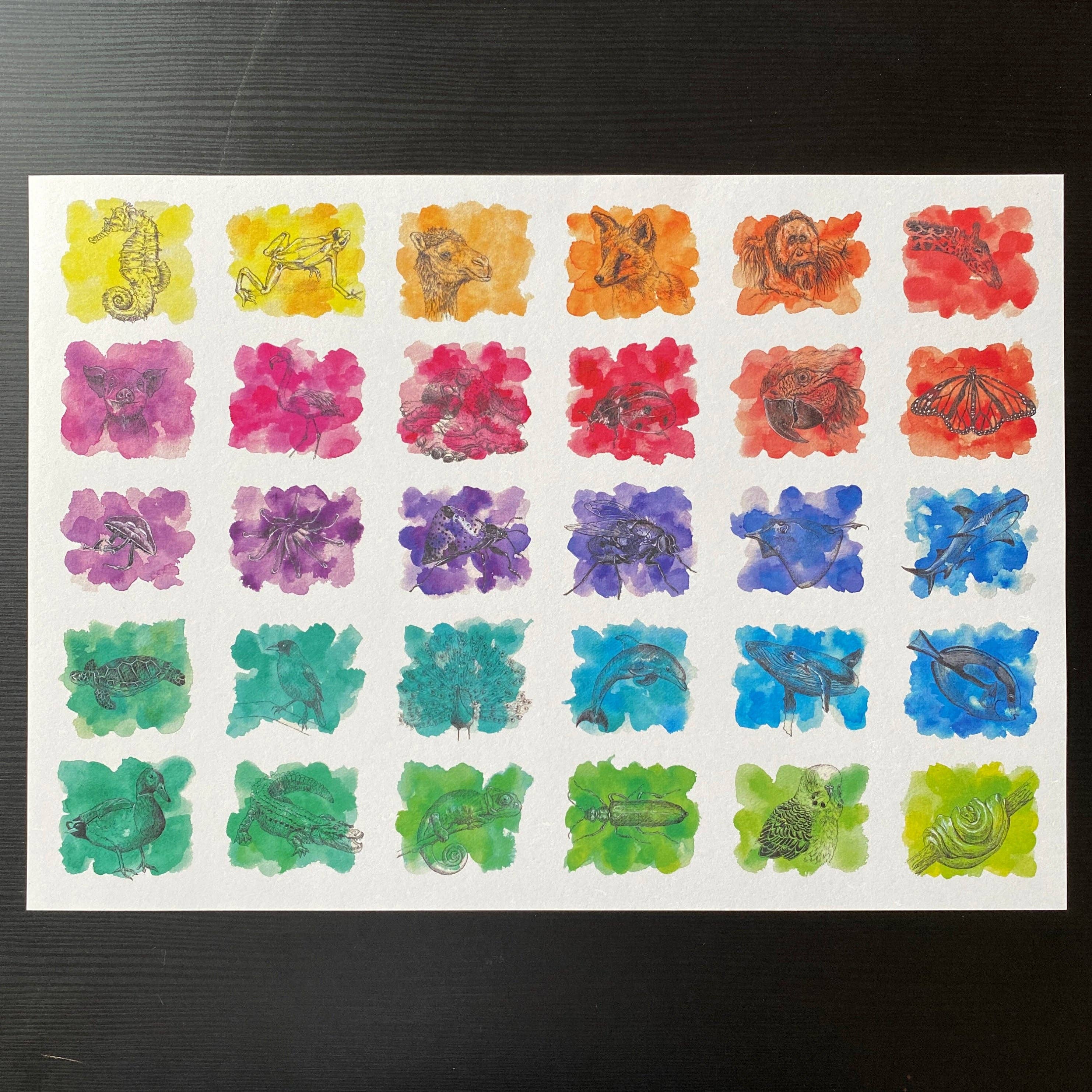 Lucy Locks Art - Wholesale Art Print - A3 Hue Animal Series Print1