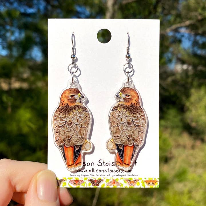 Acrylic Red-Tailed Hawk Earrings for wholesale by Allison Stoiser Art