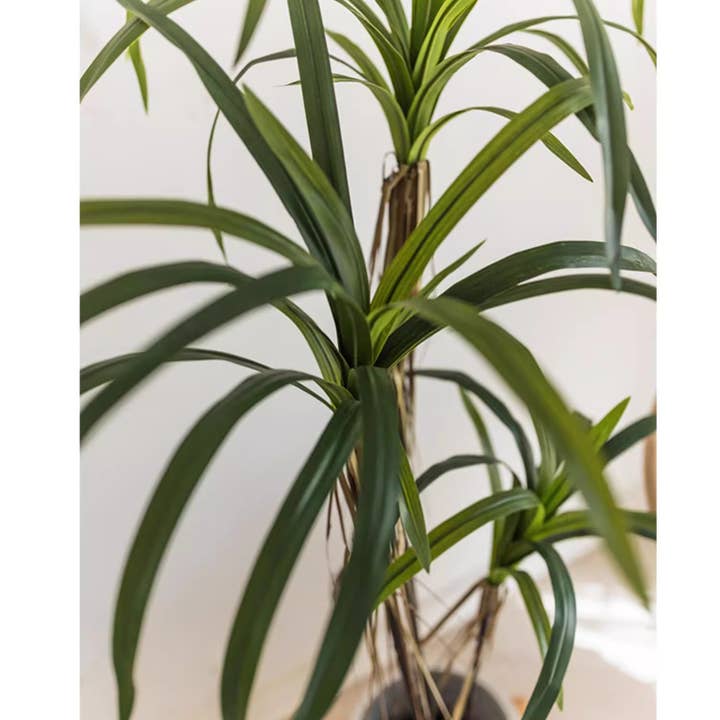 Rustic Reach - Wholesale Artificial Plant - Artificial Dracaena Tree8