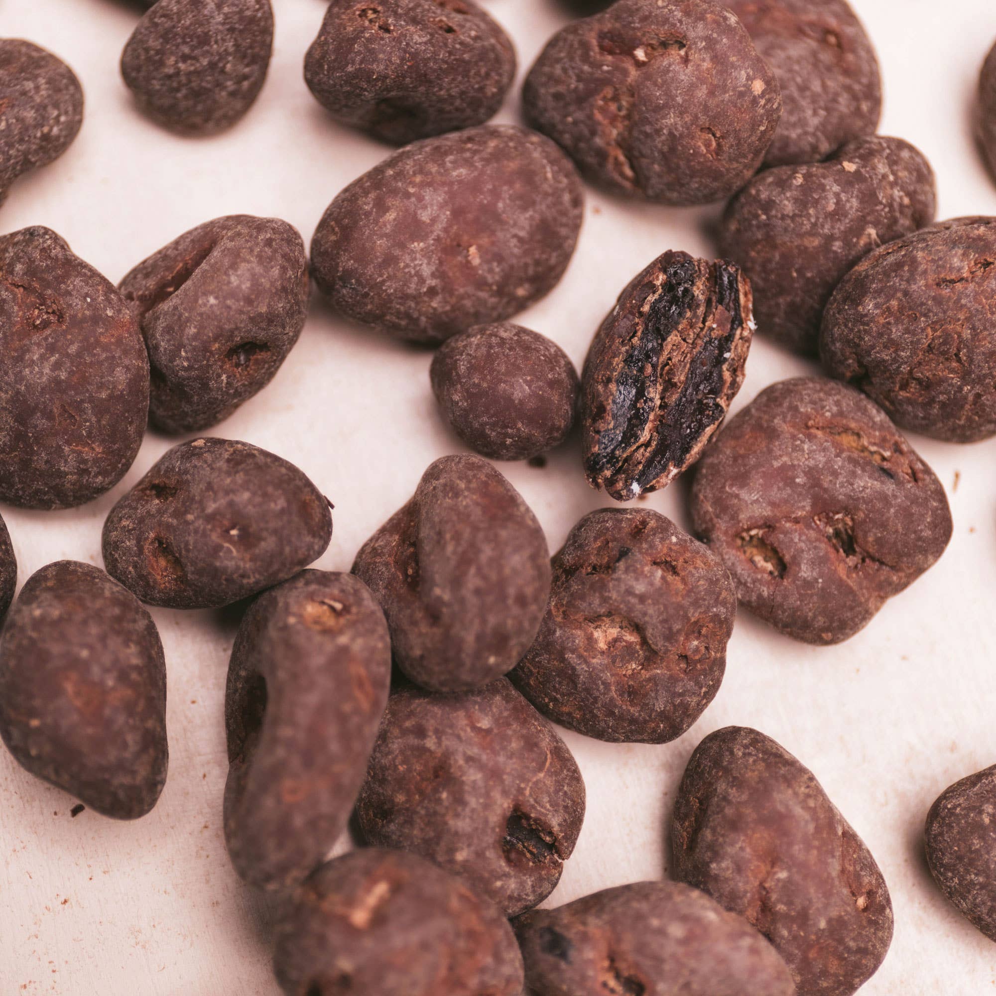 Crow & Moss Chocolate – Doces cobertos de chocolate por atacado – Cerejas Cobertas de Chocolate - Caixa de 62