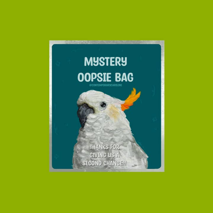 Saco Surpresa de Autocolantes Misteriosos | 10 Autocolantes e Decalques Brilhantes por atacado de contemporarycaroline
