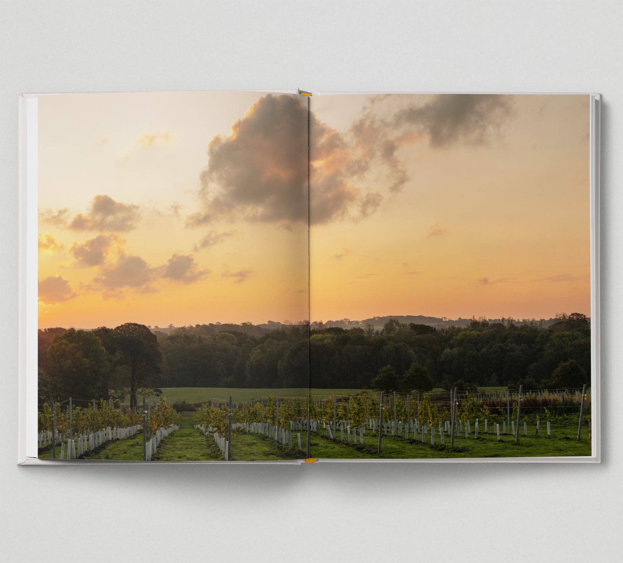 Hoxton Mini Press – wholesale Mixology & beverage book – New British Wine12