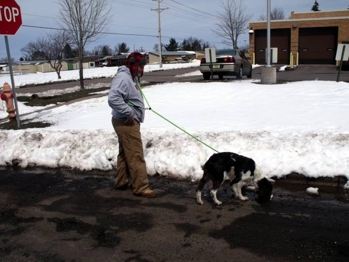 SOFT LINES - Vente Laisse – chien - Laisses pour chiens mains libres pour le jogging et l'entraînement6