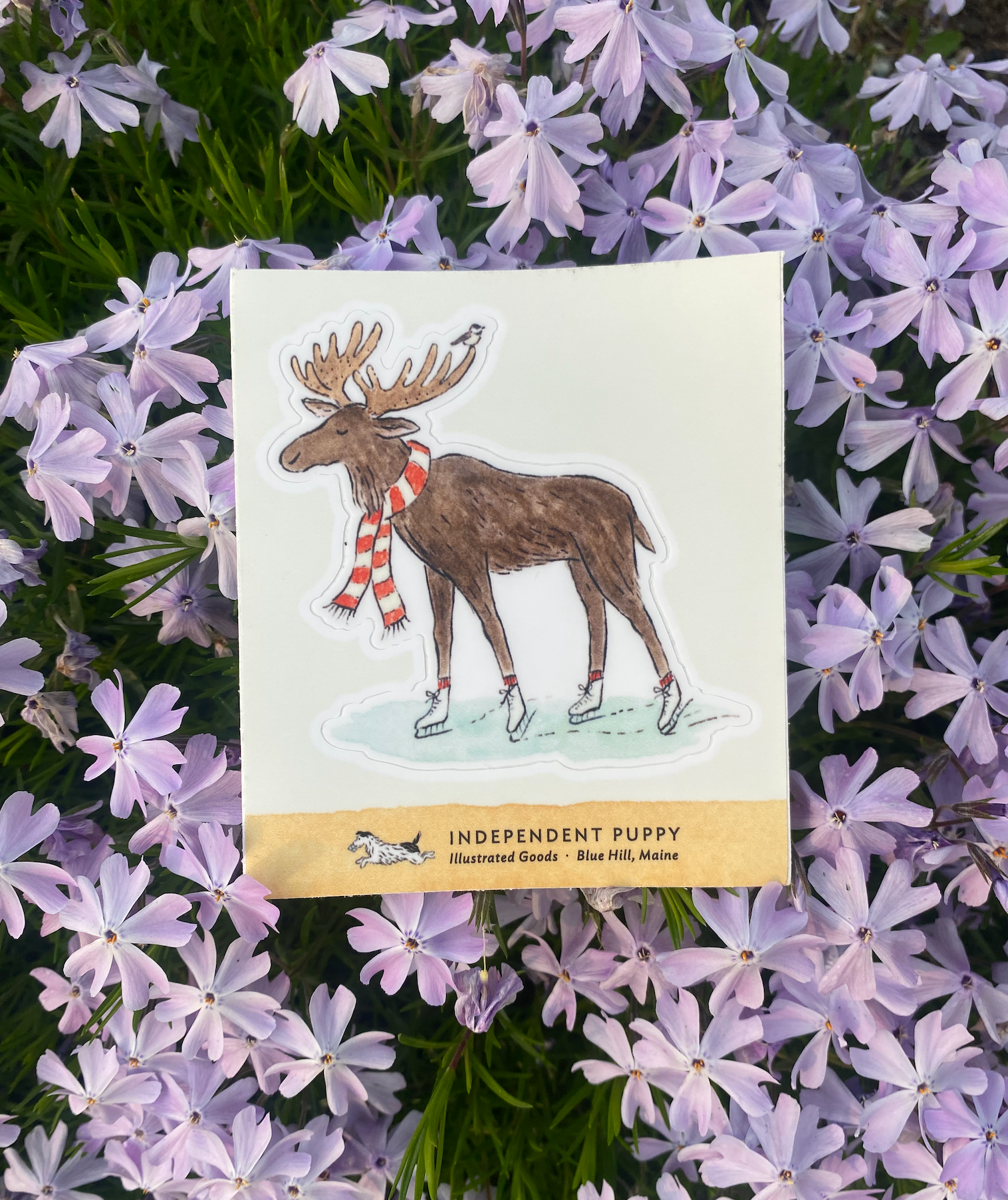 Independent Puppy - Wholesale Sticker - Skating Moose & Chickadee Kiss-Cut Sticker 1