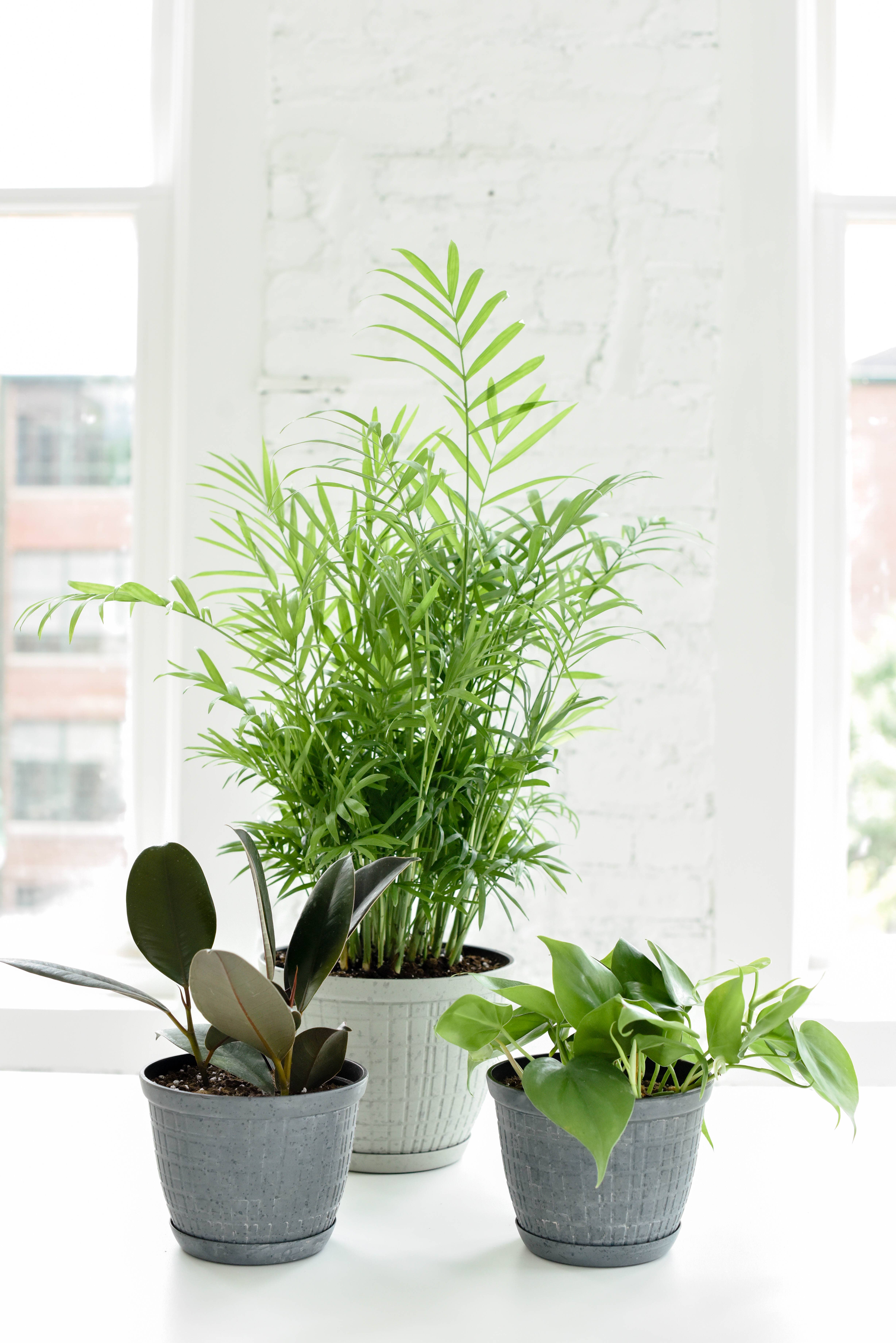 Thorsen's Greenhouse - Vente Pot - Jardinière rustique pour plantes d'intérieur, tailles multiples19