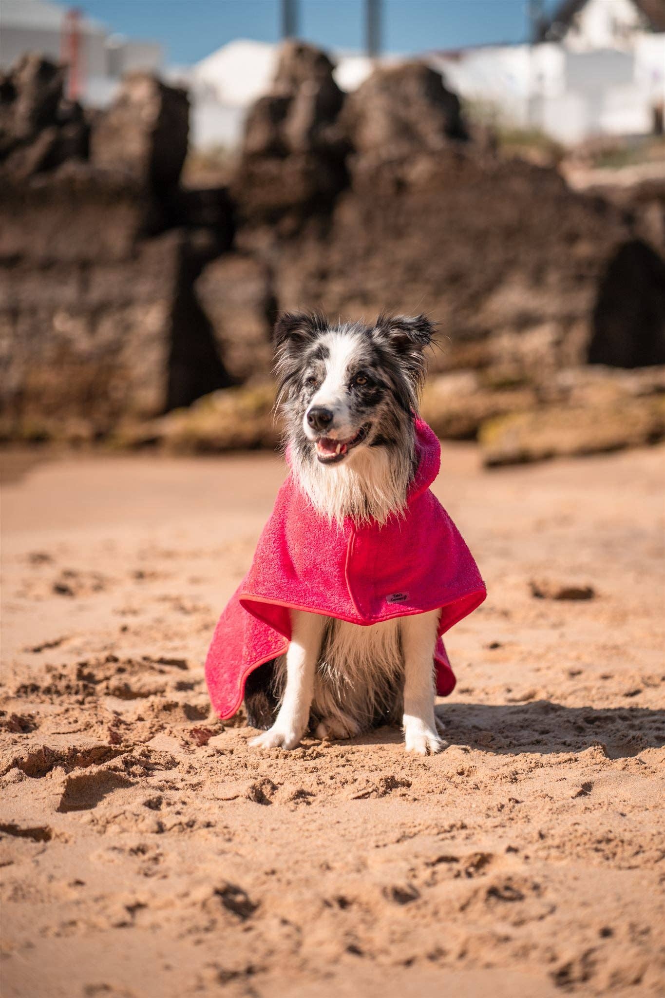 Tata’s Concept – Poncho para cão - Cão por atacado – Ponchos 1ª Edição (2022)2