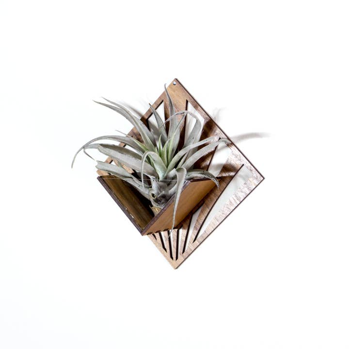 LIGHT RAZOR DESIGN STUDIO - Wholesale Wall planter - Air Plant Holder / Quadrate Wall Hanging Planter 219