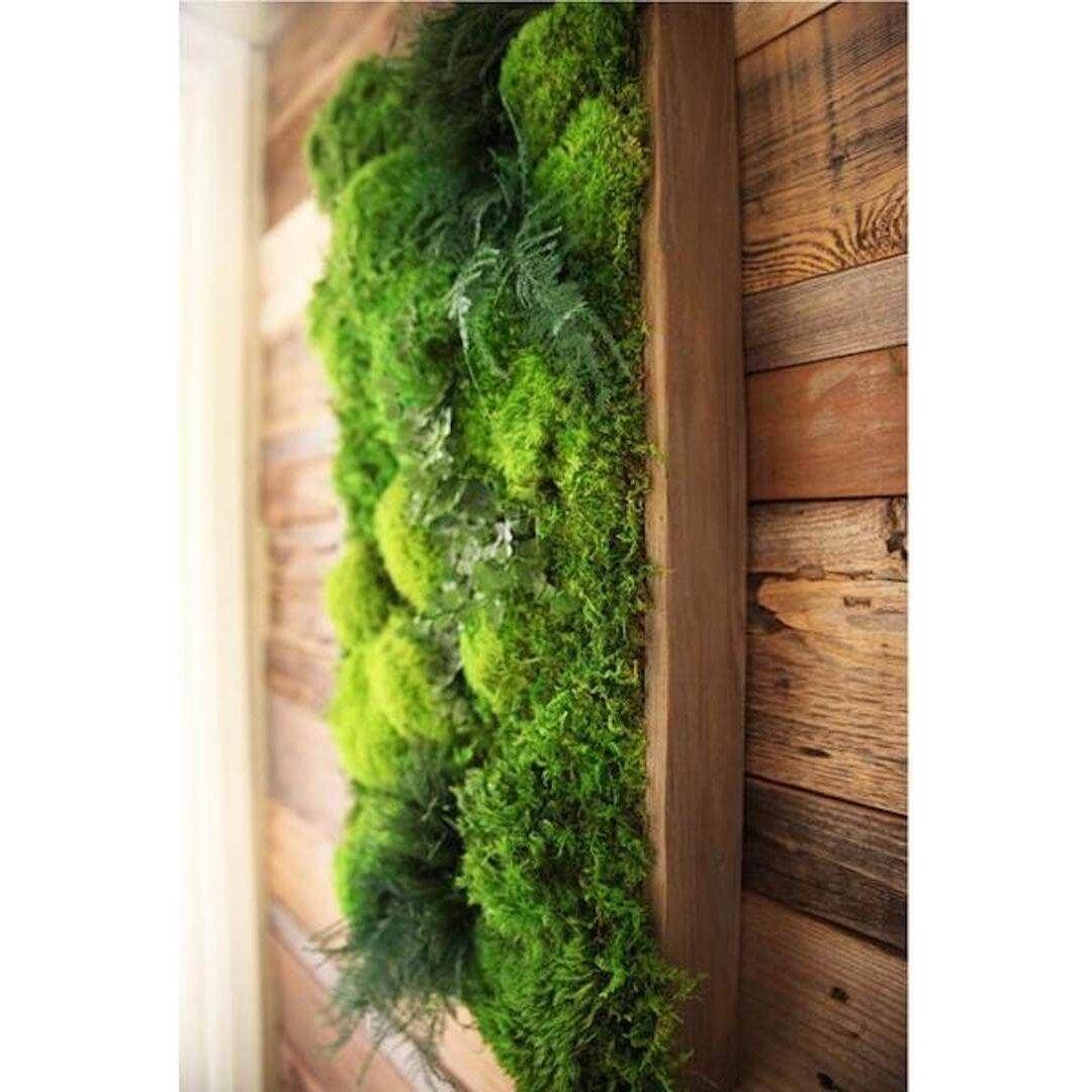 Artisan Moss – Großhandel Malen/Zeichnen – Hochwertiges Moos- und Farnpflanzen-Gemälde, handgefertigt, 40” x 18”4