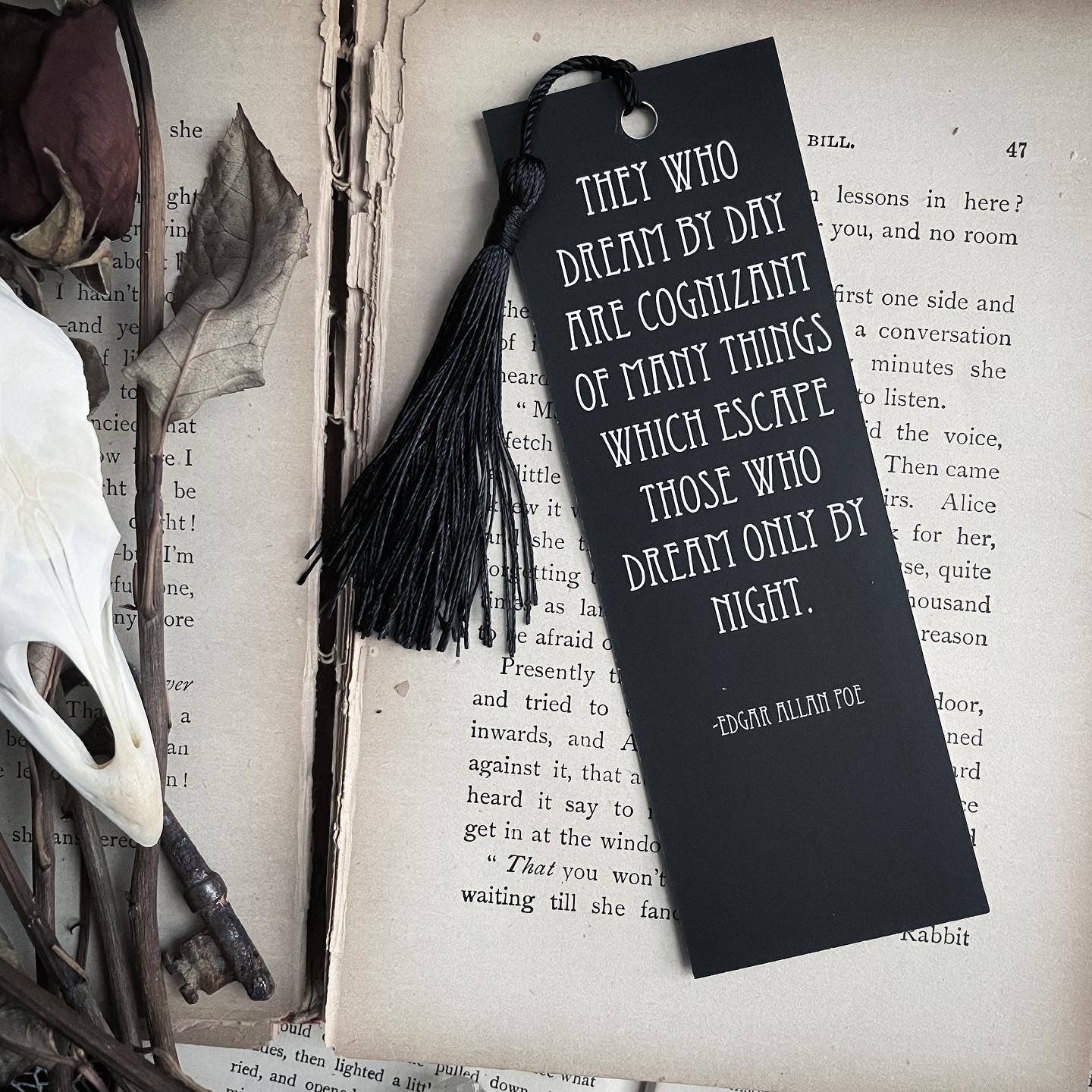 Caitlin McCarthy Art - Wholesale Bookmark - Edgar Allan Poe Bookmark - Pack of 102