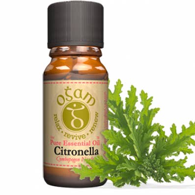 Citronnelle pour la vente par Ogam Oils