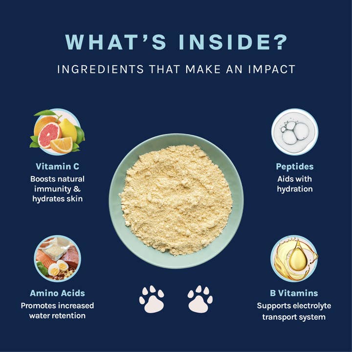 Good Trouble Pets - Wholesale Pet Supplement - Dog - Dog Hydration Powder Supplement