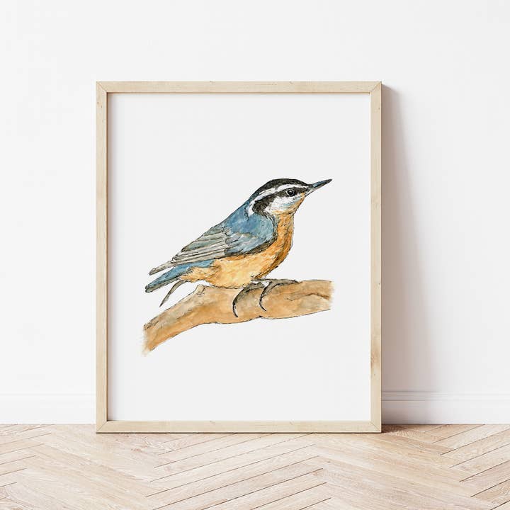 Nuthatch Art Print for wholesale by WLDFLWR Studio