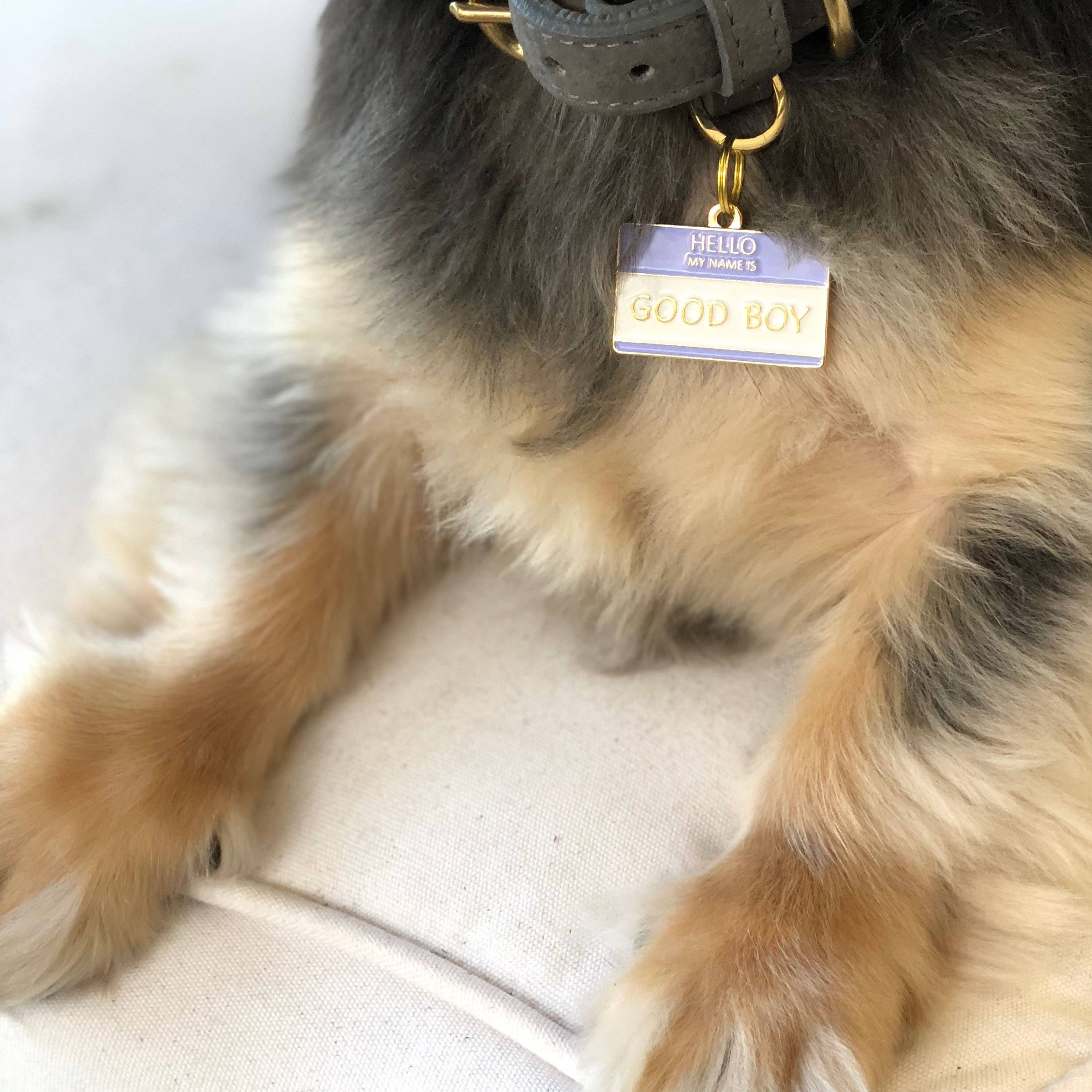 Two Tails Pet Company - Wholesale Pet Identification Tag - Dog - Good Boy Pet ID Tag1