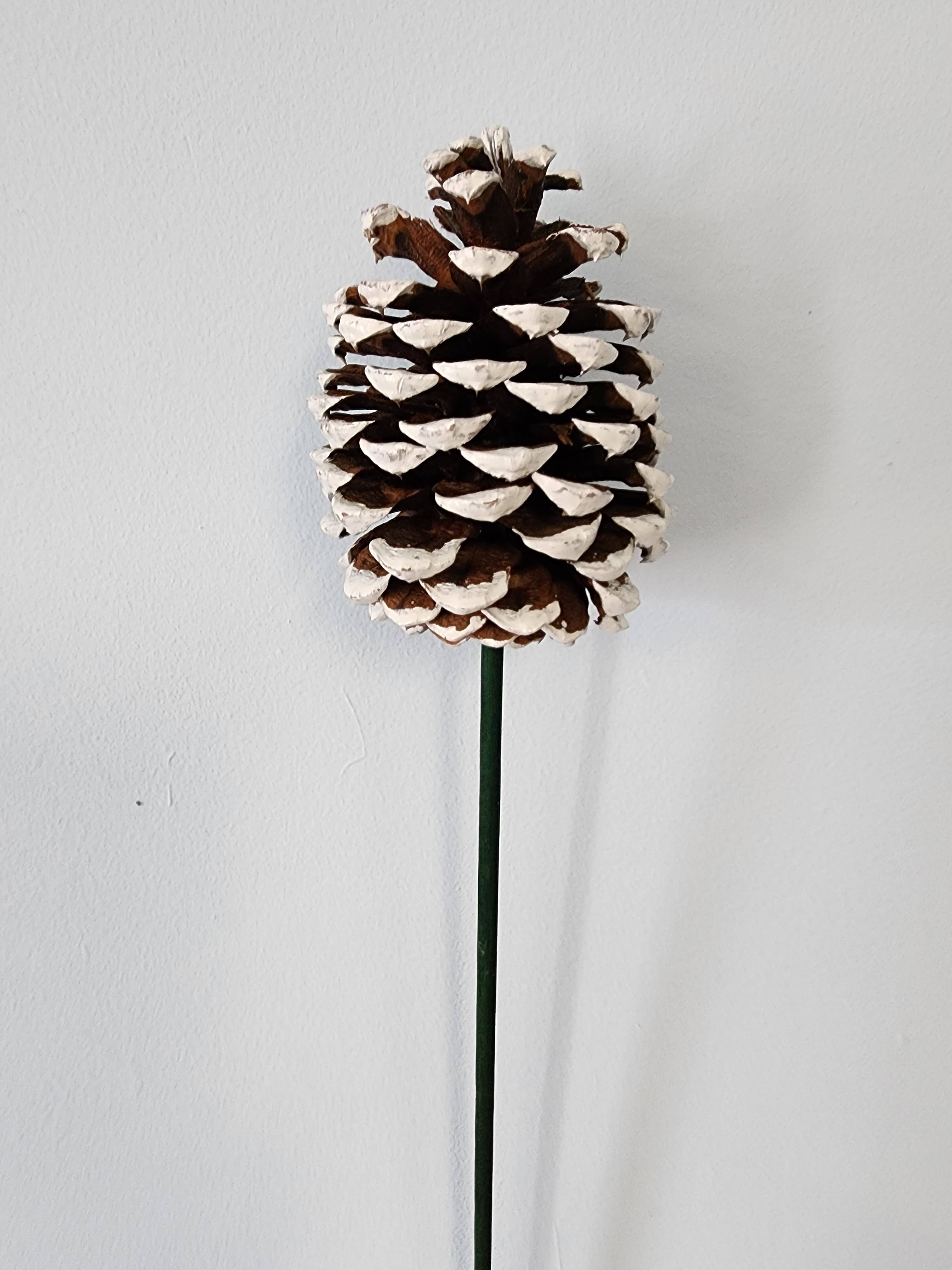 Northwoods Natural Accents - Vente Décorations de table - Pommes de pin Ponderosa1