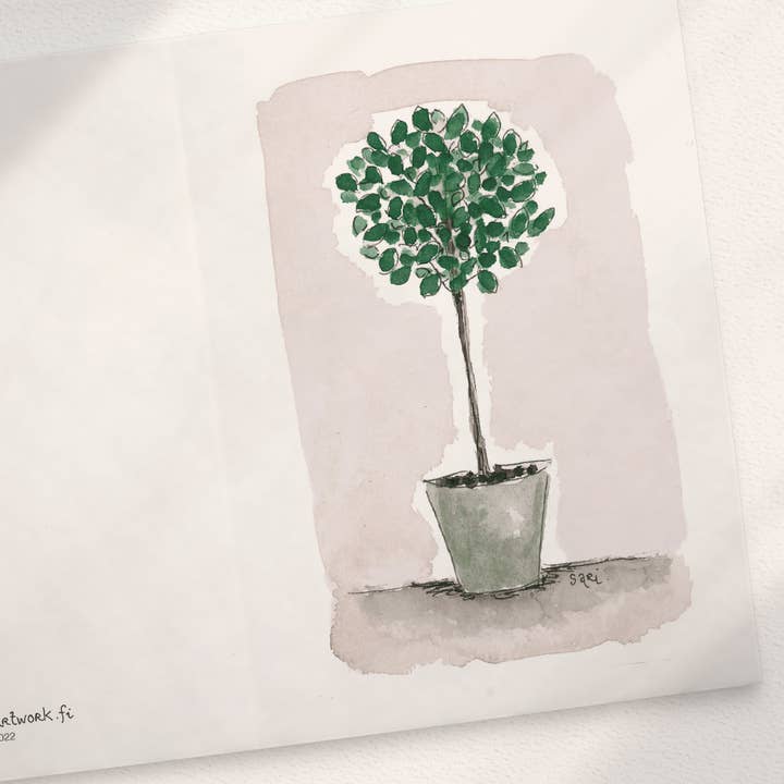 Olive Tree for wholesale by Sari's ArtWork