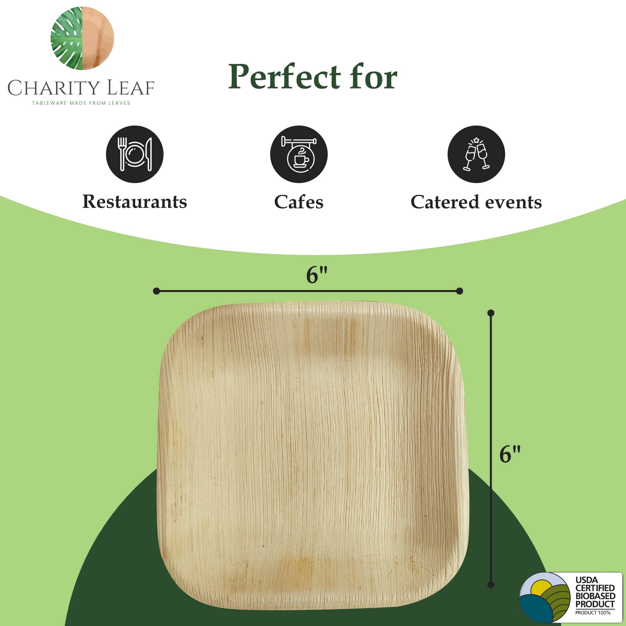 Charity Leaf - Wholesale Disposable Plate - Palm Leaf Square Plate - 6" Inch - Pack of 50 Plates5