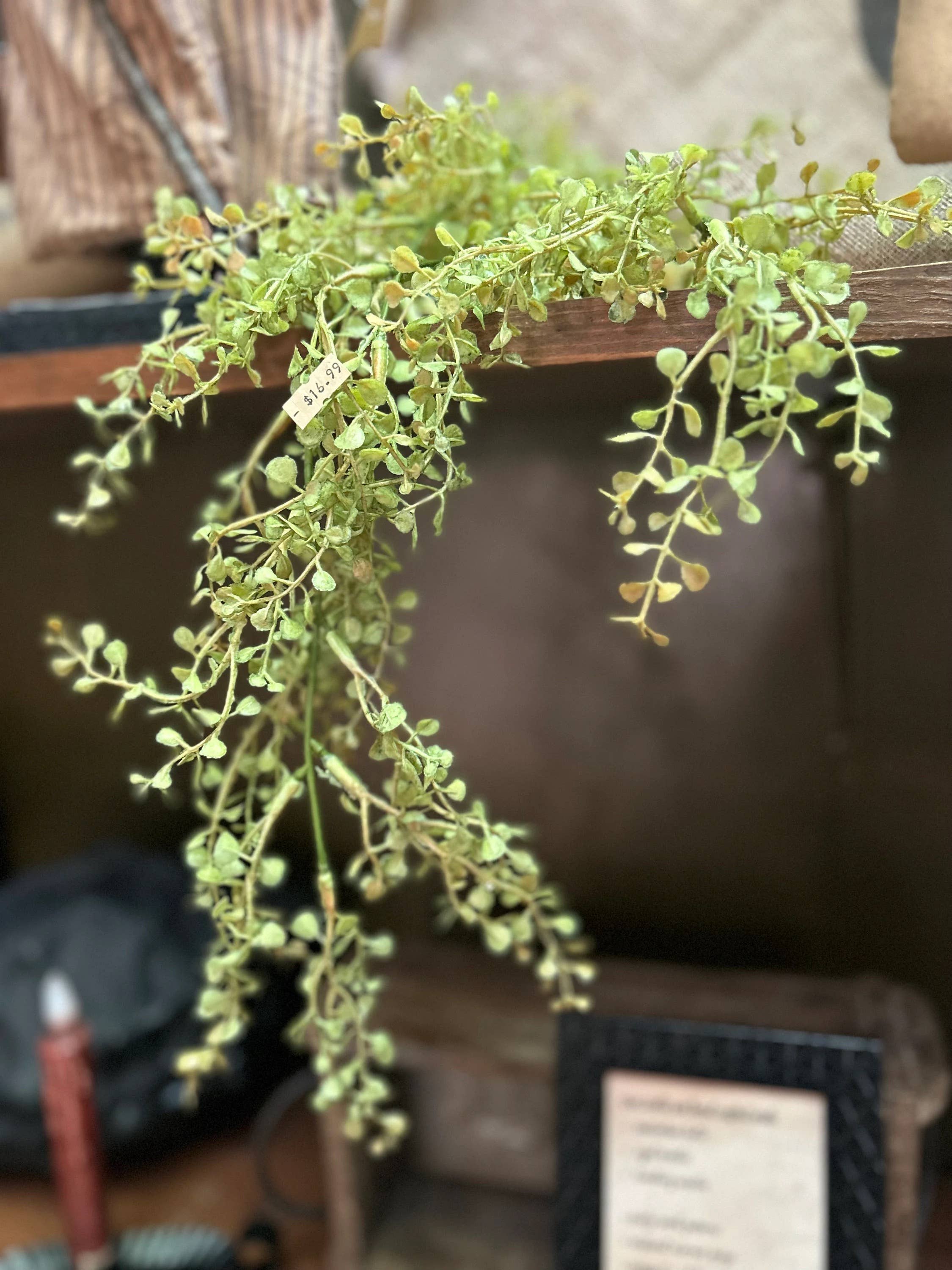 The Cranberry Cornstalk Co. – wholesale Konstgjord växt – Grönska pepparblad1