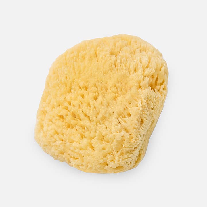 Bath Accessories Company - Wholesale Makeup Sponge/Blender - Cosmetic Silk Sea Sponge