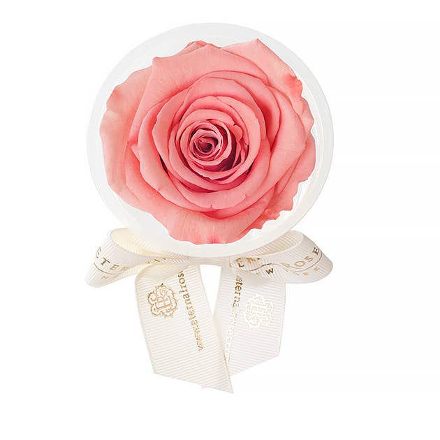 Eternal Roses® - Wholesale Party Favor - Eternal Rose Party Favors25
