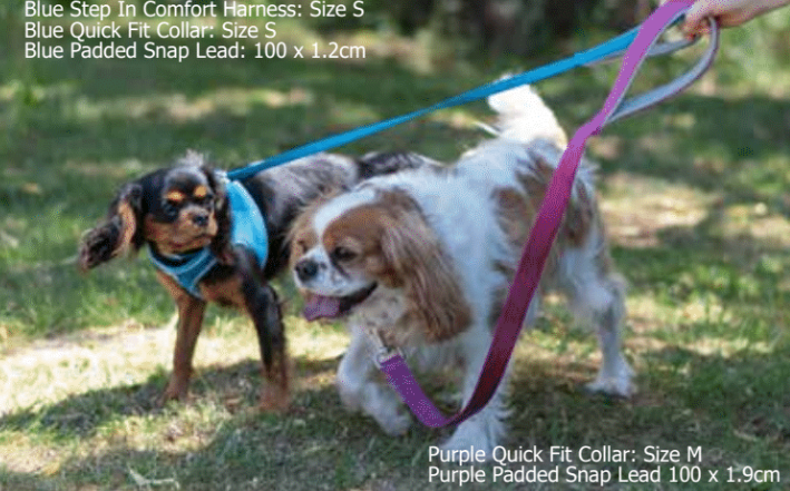 Ancol Pet Products Ltd - Vente Harnais – chien - Harnais Viva Step in bleu4
