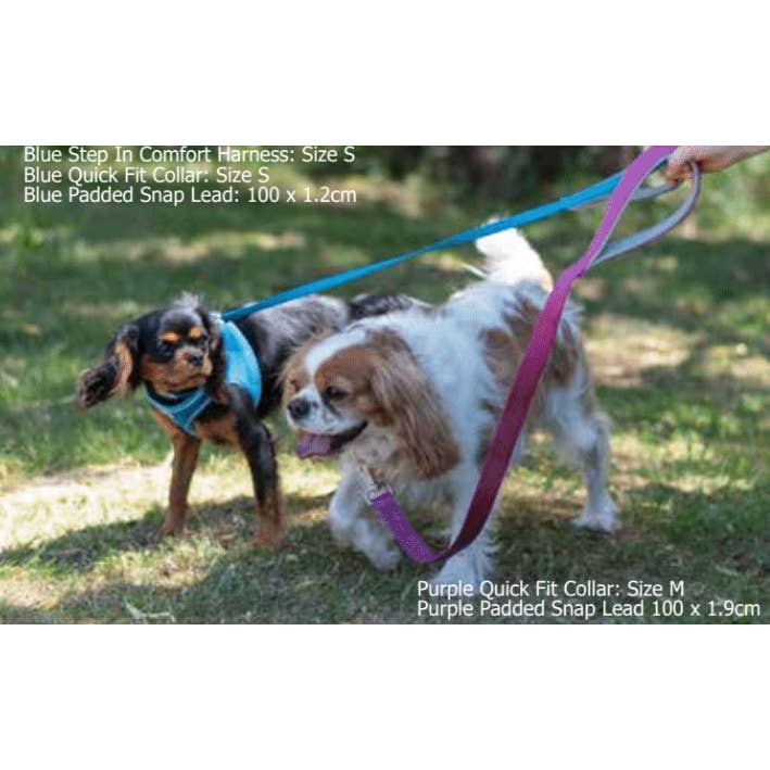Ancol Pet Products Ltd - Wholesale Pet harness – Dog - Viva Step in Harness Blue4