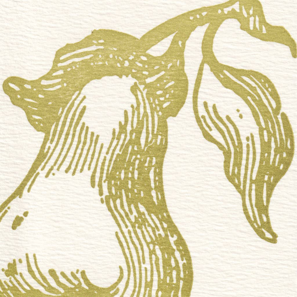 Saturn Press - Wholesale Briefpapier/indexkaartenset - Peer2