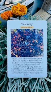 Maine Sea Witch - Wholesale Spiritual Stone/Crystal - Maine Sea Witch Oracle6