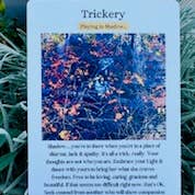 Maine Sea Witch - Wholesale Spiritual Stone/Crystal - Maine Sea Witch Oracle6