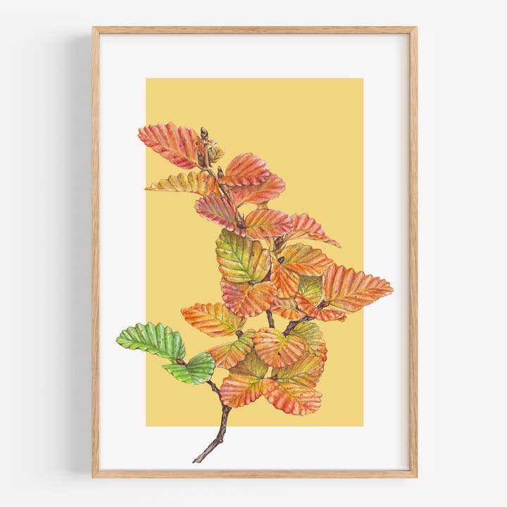 Nothefagus/giallo - Stampa d'Arte per la vendita all'ingrosso da parte di Hayley Wilson