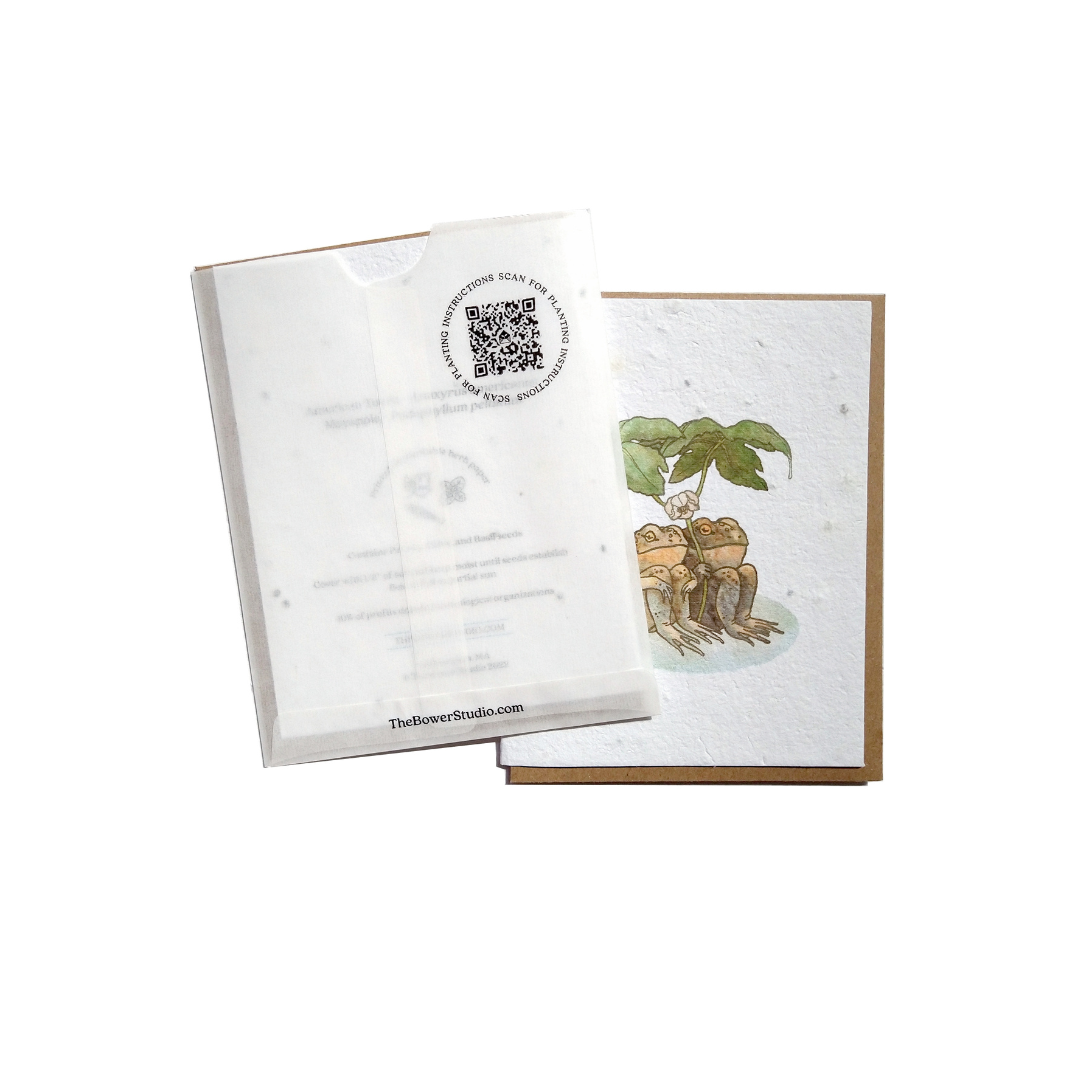 Small Victories - Vente Assortiments de papeterie/cartes - Pochettes en verre1