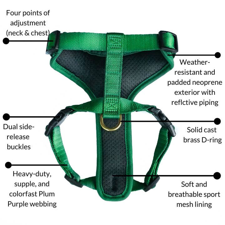 DJANGO - Wholesale Pet Harness - Dog - Adventure Dog Harness - Forest Green3