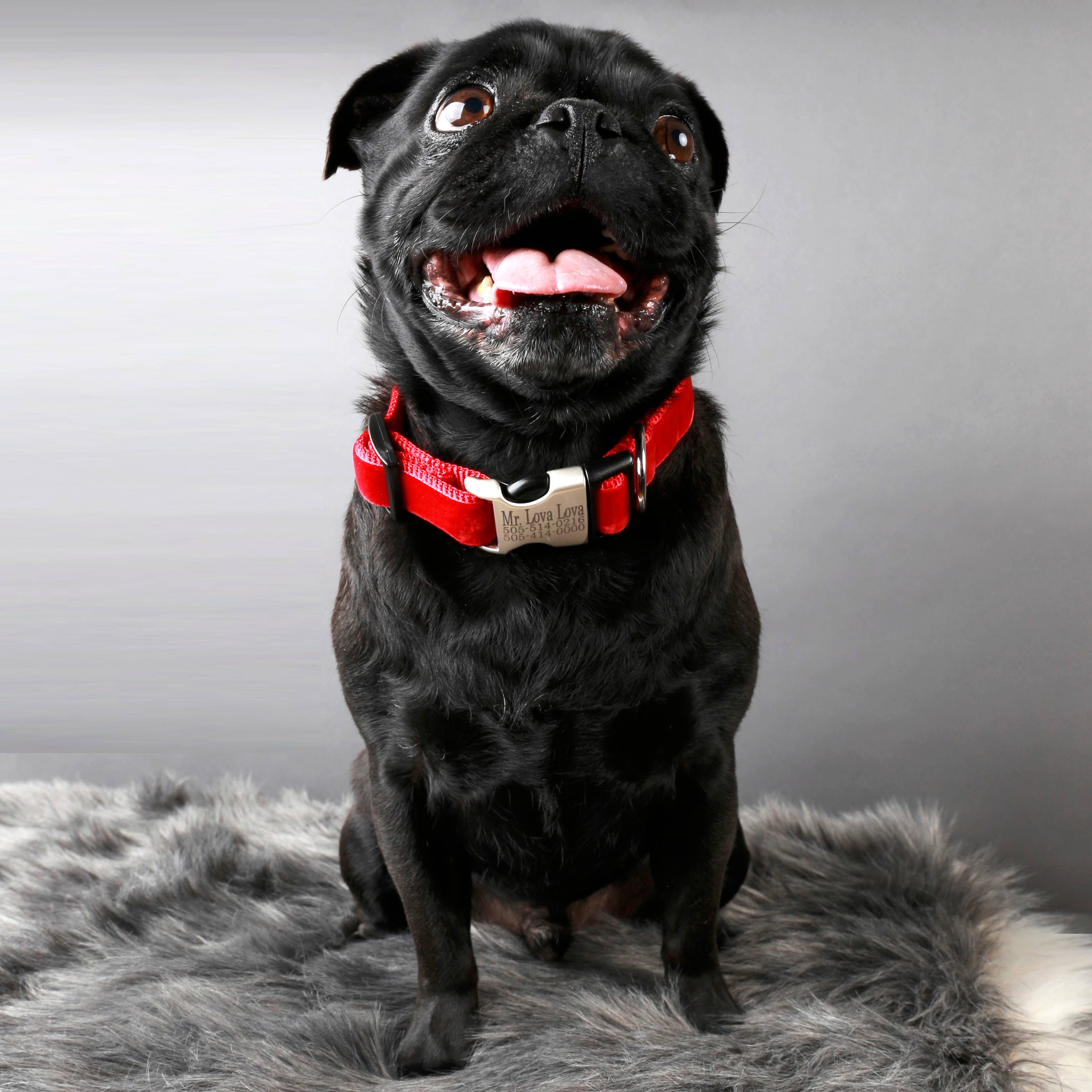 Mimi Green - Wholesale Pet Collar - Dog - Bright Red & Copper Velvet Dog Collars1