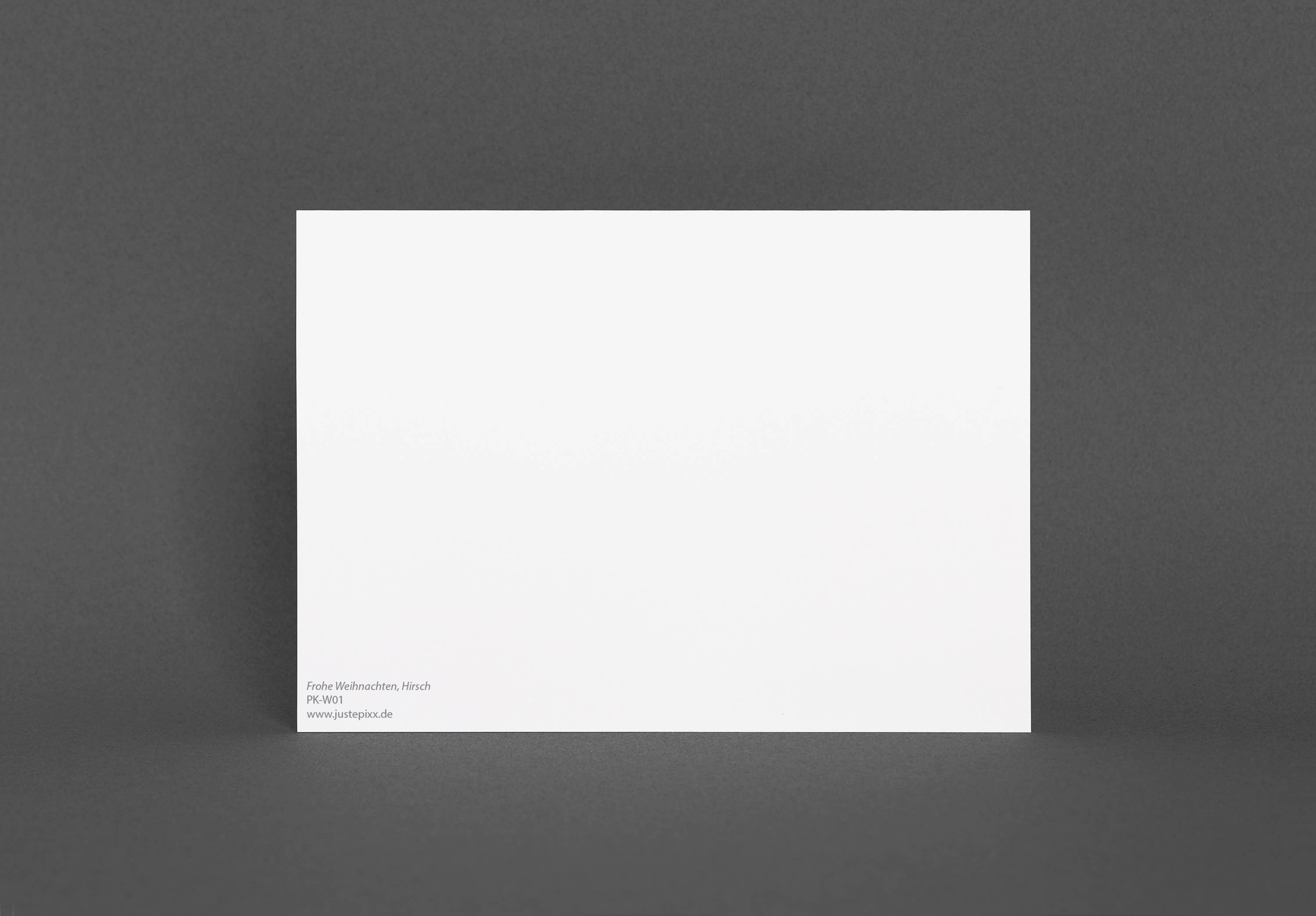 Justepixx - Wholesale Postcard - Postcard birds in the sky A64