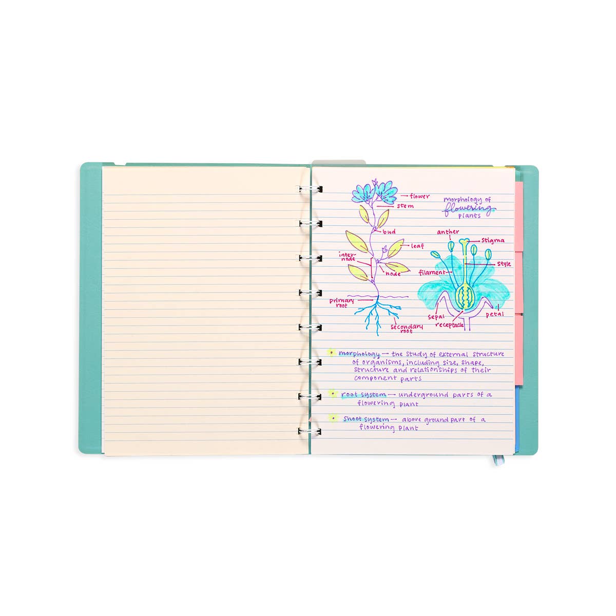 OOLY - Venta al por mayor Bolígrafo - Dúo de Escritores: Plumas Estilográficas y Rotuladores de Doble Punta (Juego)7