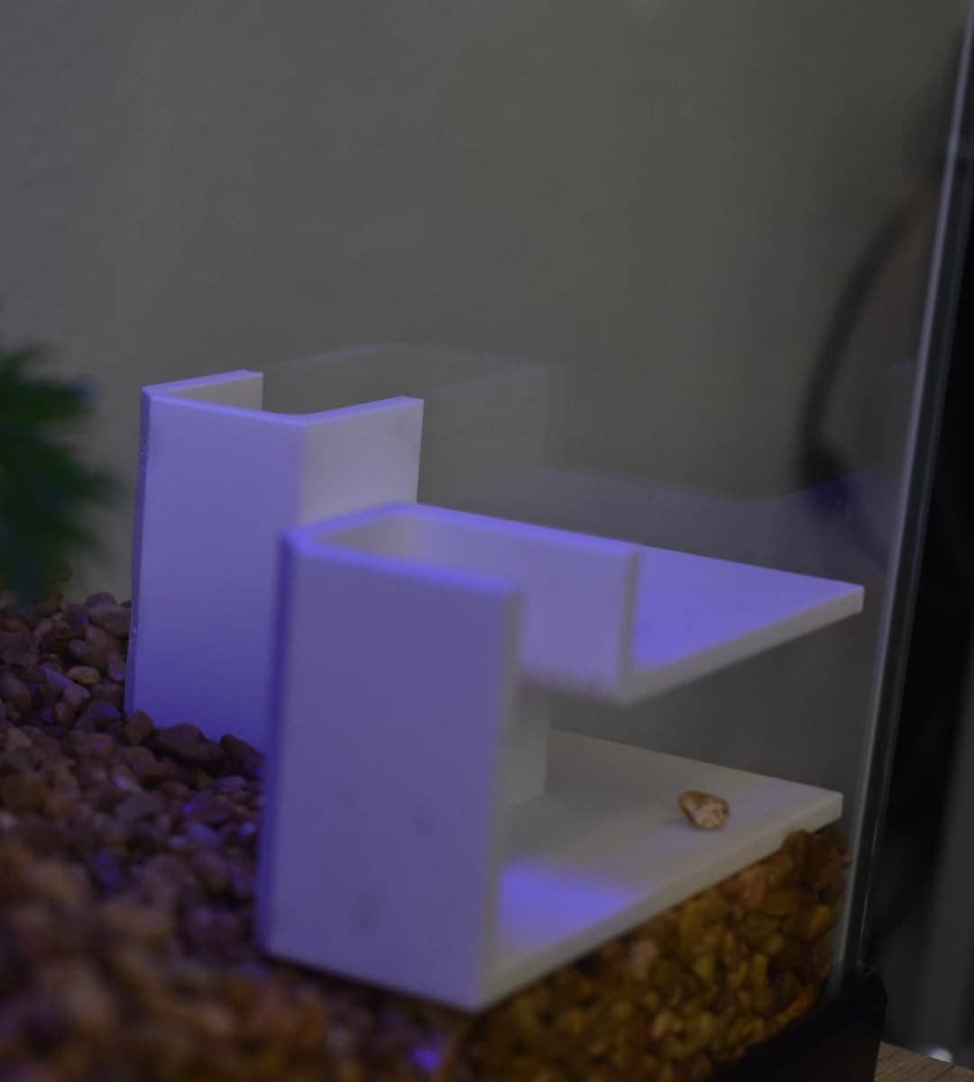 Chatelet - Vente Décorations de table - Tunnel souterrain de l'aquarium Chatelet | Refuge de poissons et de crevettes pour aquariums | Tunnel d'observation souterrain unique | Fabriqué aux États-Unis14