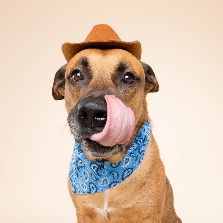 The Paws - Wholesale Pet Bandana - Dog - West Dog Bandana3