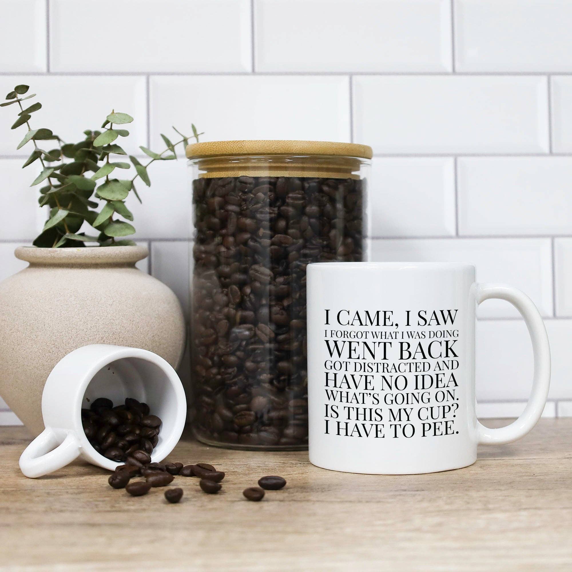 Cedar Crate Market - Wholesale Coffee Mug - Coffee Mug - I Came I Saw I Forgot What I Was Doing2