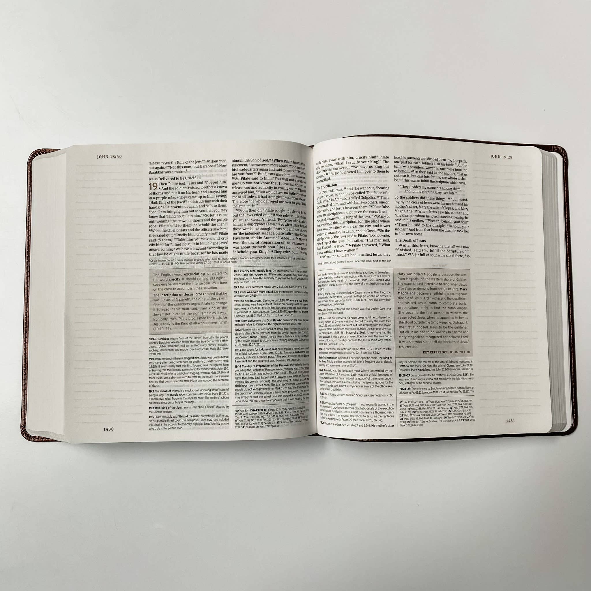 Joy Creative Bibles - Wholesale Religion - ESV Journaling Study Bible - John 3:164