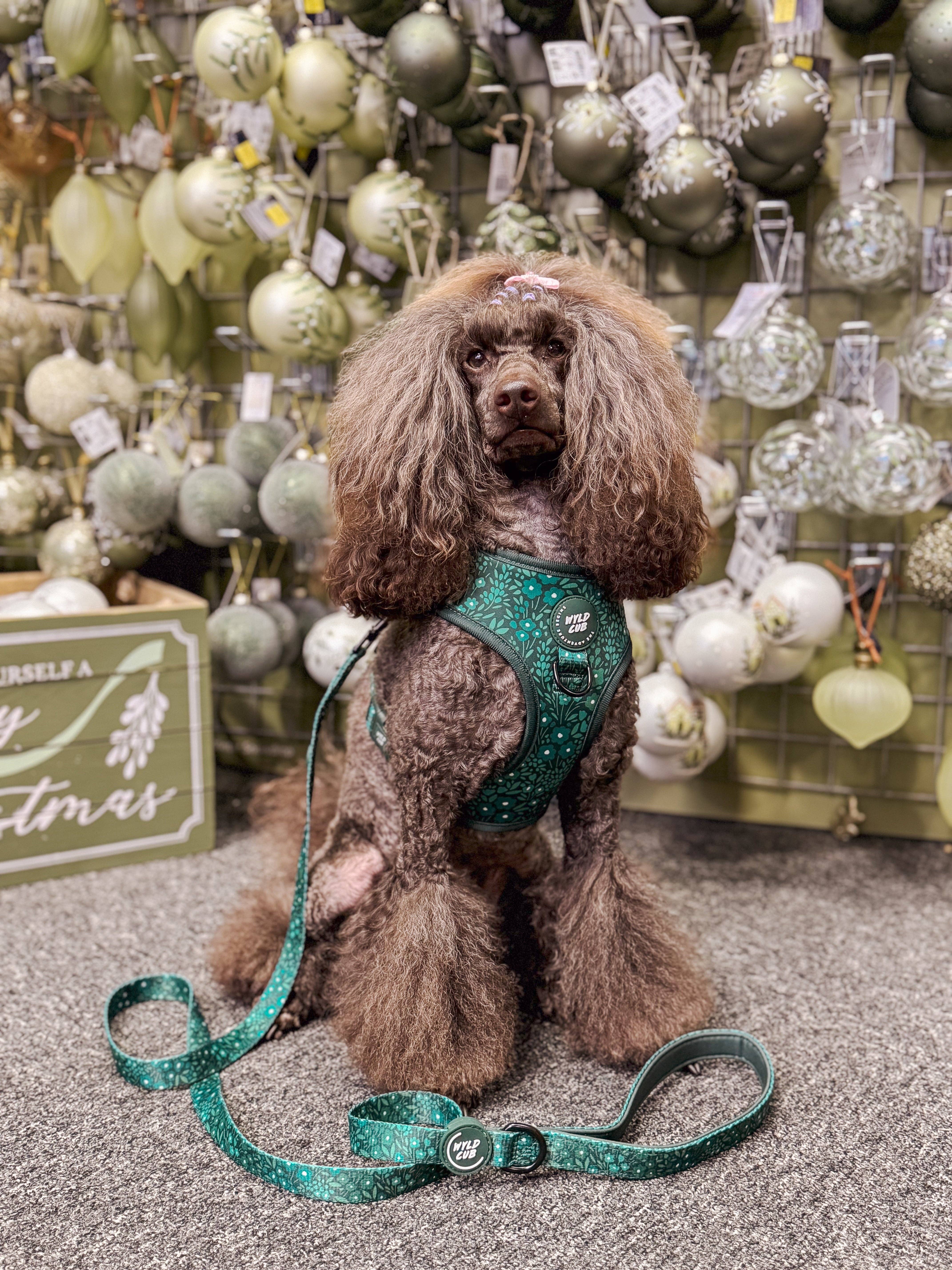 WYLD CUB – wholesale Pet leash – Dog – Dog Lead: Notting Hill Gooseberry6