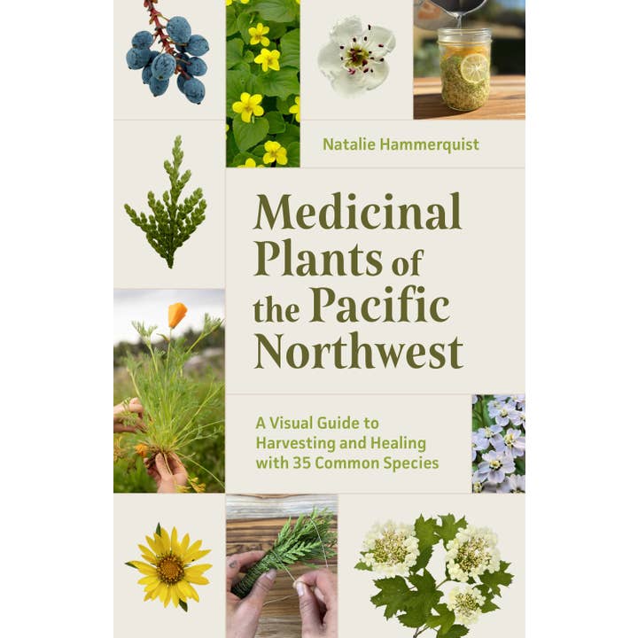 Mountaineers Books - Wholesale Book - Adult - Medicinal Plants of the Pacific Northwest