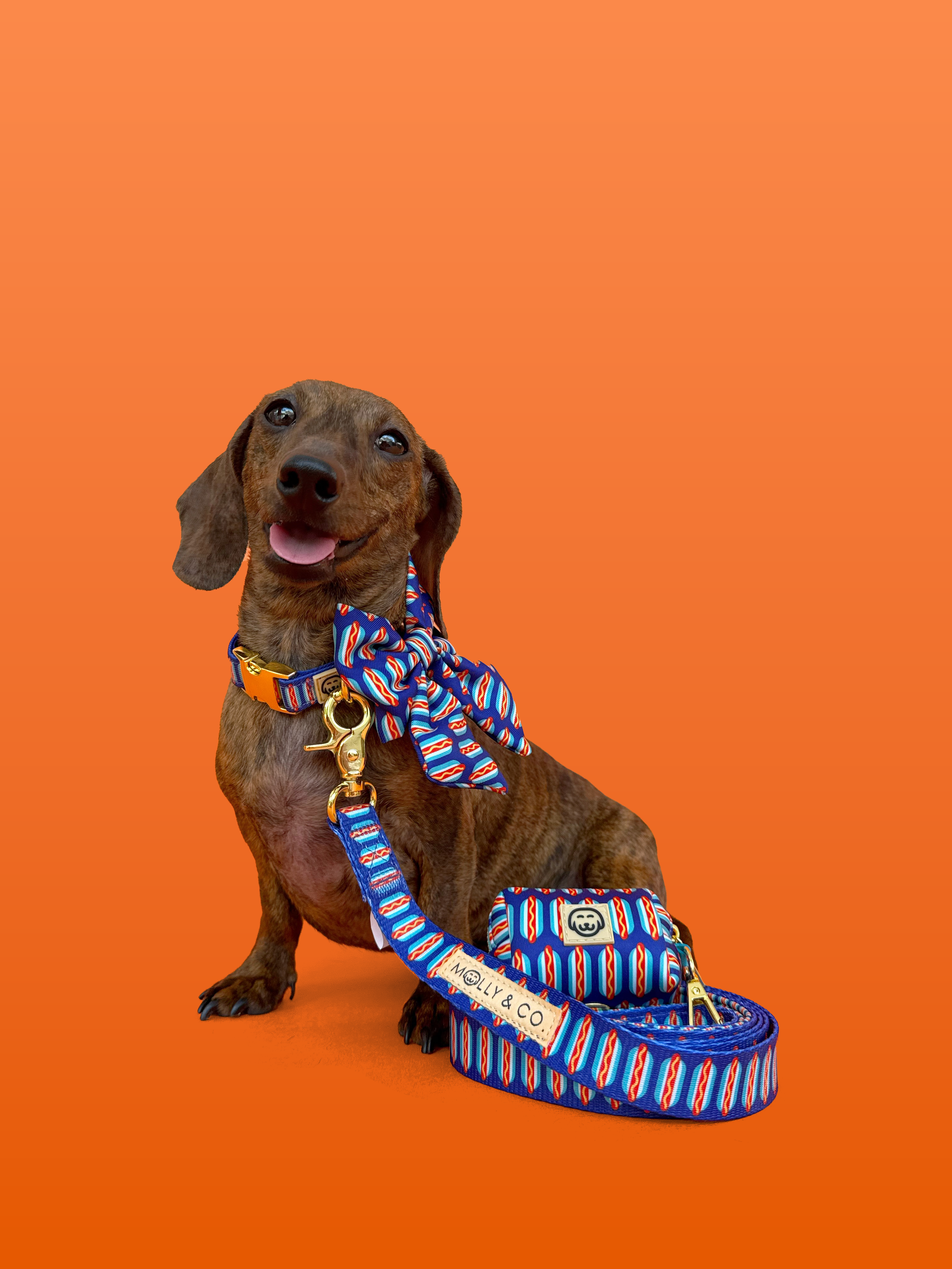 Molly & Co. - Vendita all'ingrosso Guinzaglio - Cani - Guinzaglio per cani - Wieners4