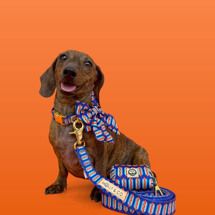 Molly & Co. – wholesale Pet leash – Dog – Wieners - Dog Leash4