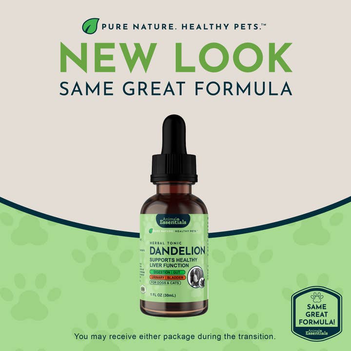 Animal Essentials - Wholesale Pet Supplement - Cat/Dog - Dandelion Single Herb Tonic | Supports Healthy Liver Function1