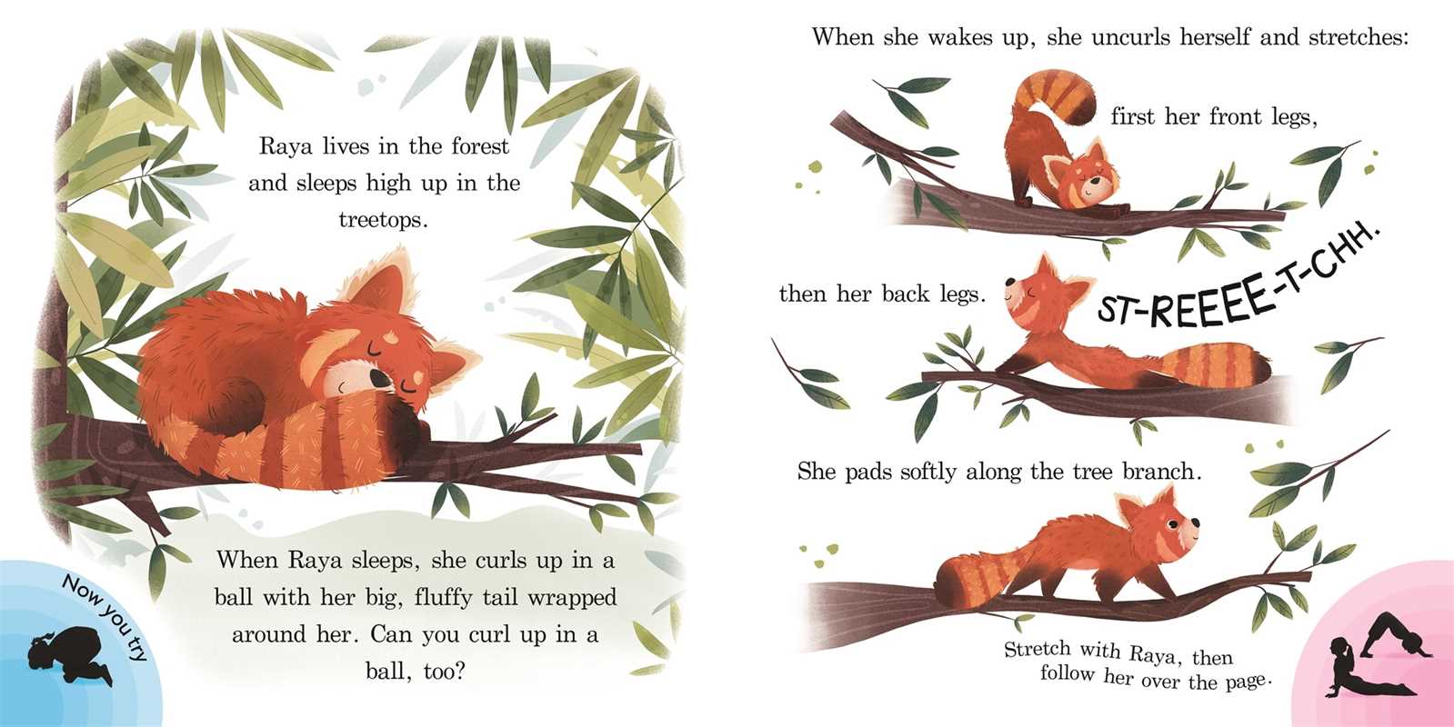 Simon & Schuster - Wholesale Preschool Book (3-5) - Stretch by IglooBooks1