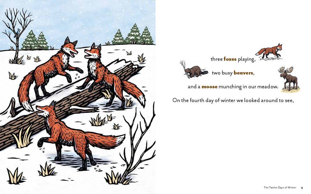 REMOVED BRAND - Wholesale Nature & Outdoors - Twelve Days of Winter: A Wildlife Celebration3