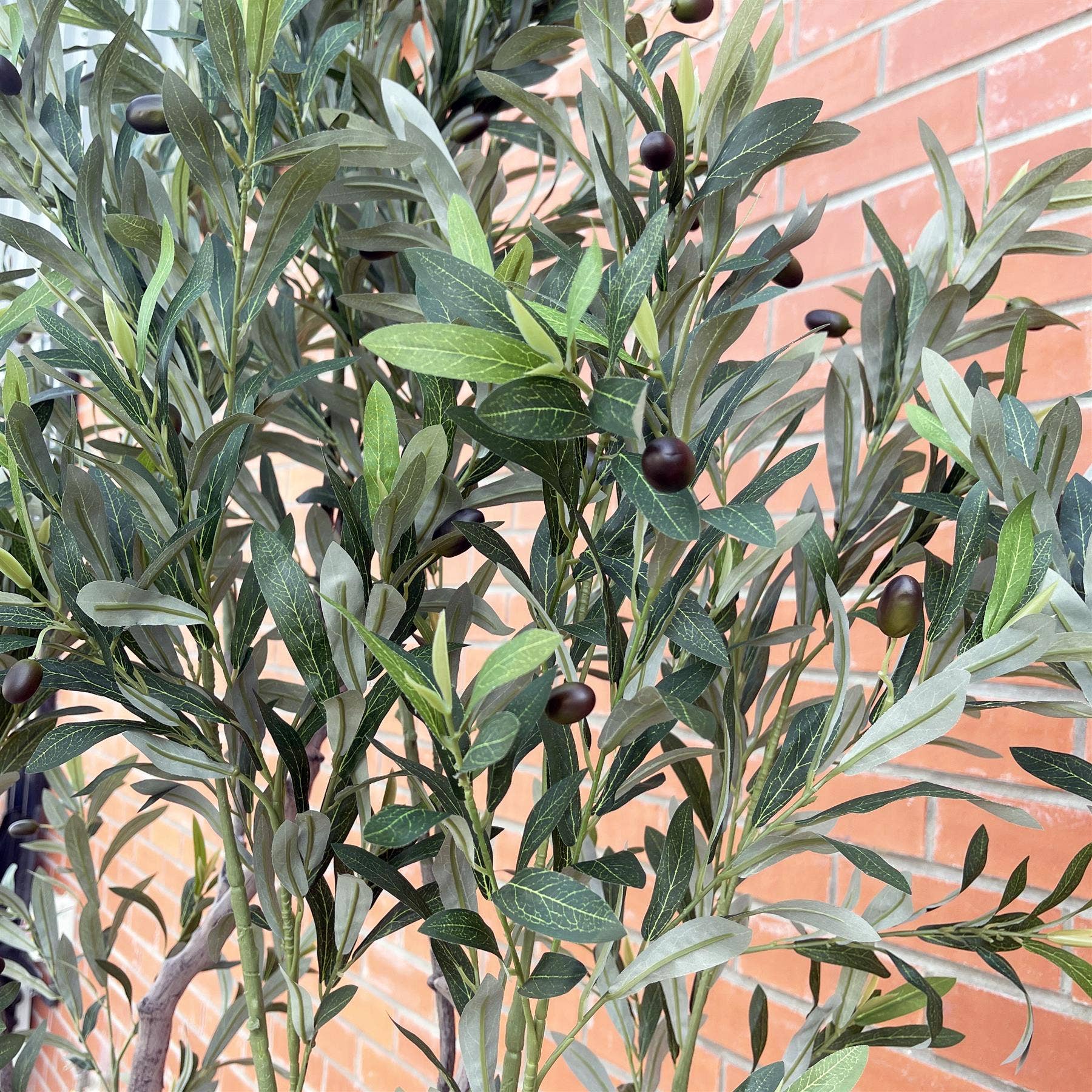 Leaf Design UK LTD - Wholesale Artificial plant - 250cm XXL Olive Tree3