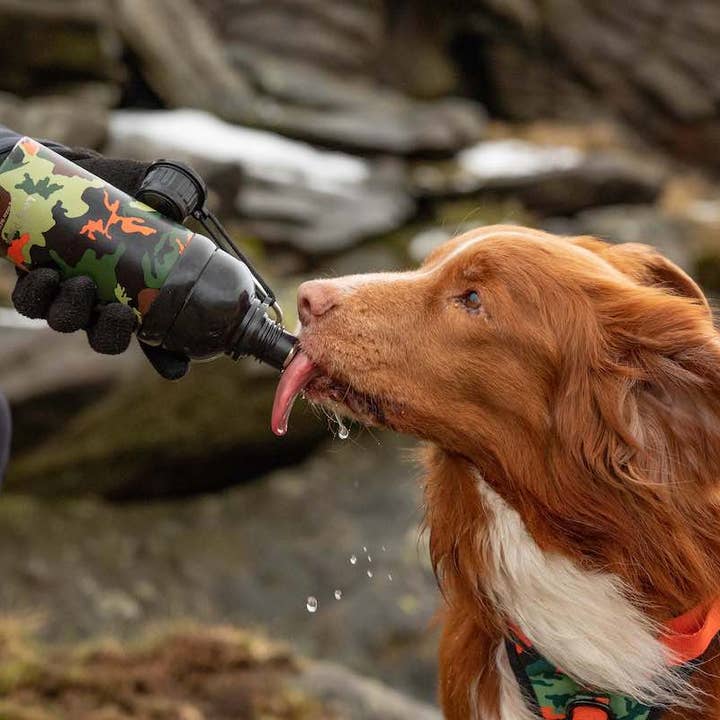 Long Paws - Wholesale Waterfles voor honden - Hond - Long Paws RVS hondenwaterfles met lick 'n flow15