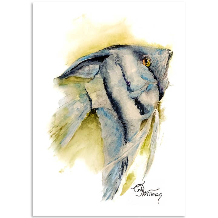 Angelfish for wholesale by Moonlight & Grace