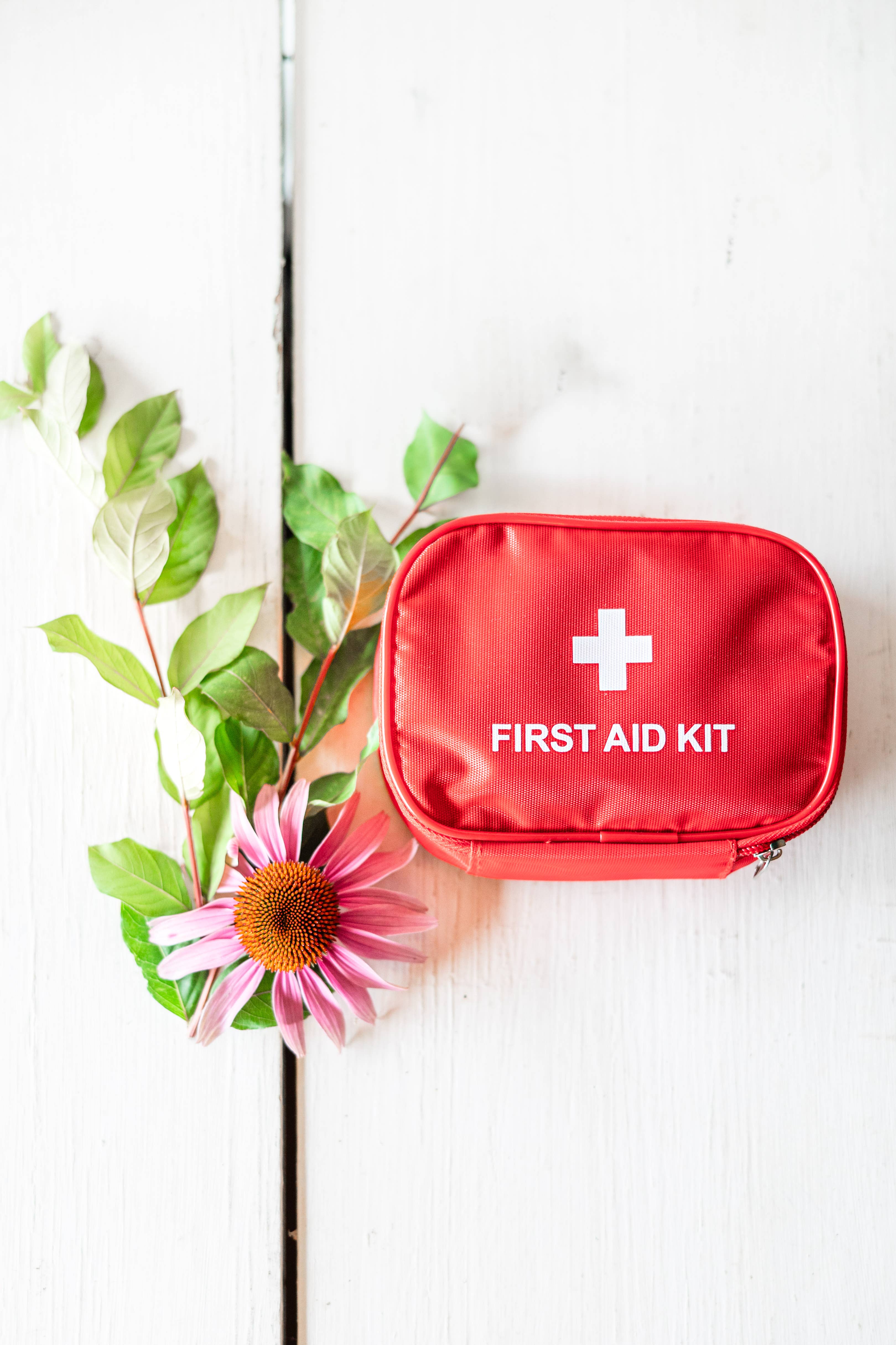 Reedwood Naturals - Wholesale First Aid Kit - Herbal First Aid Kit2
